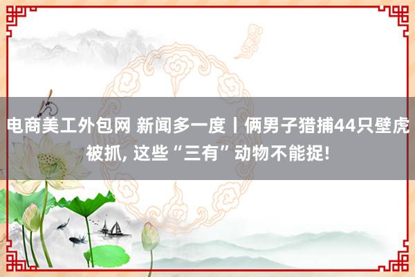 电商美工外包网 新闻多一度丨俩男子猎捕44只壁虎被抓, 这些“三有”动物不能捉!